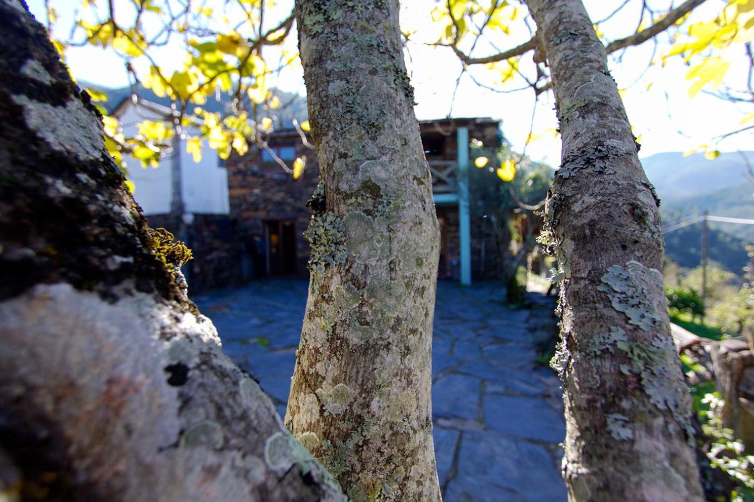 Villa Casa Da Figueira - Rio Paiva Arouca Exterior foto